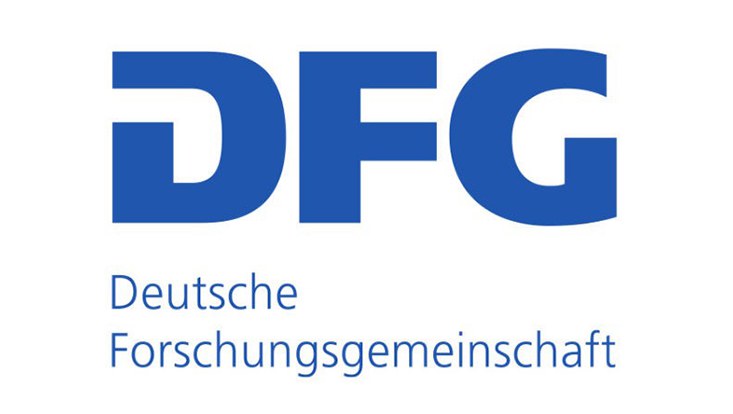 DFG Logo